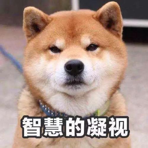為什么說冬季采暖室溫不超過22℃最舒適最健康？(圖6)
